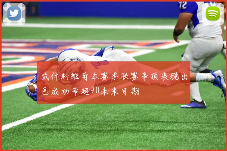武什科维奇本赛季联赛争顶表现出色成功率超90未来可期