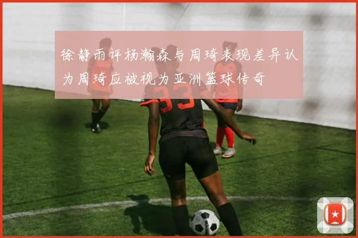 徐静雨评杨瀚森与周琦表现差异认为周琦应被视为亚洲篮球传奇